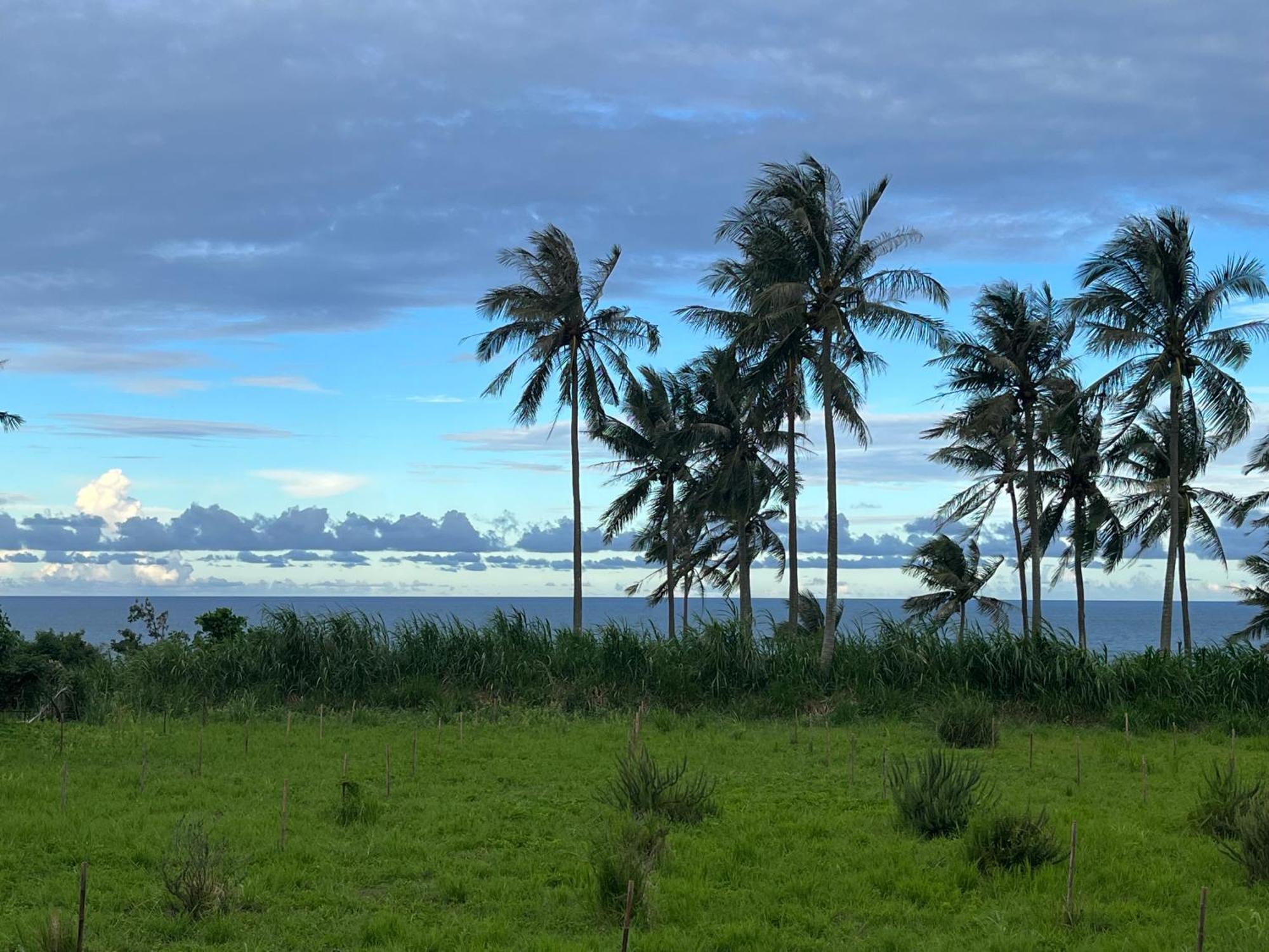 春夏秋冬海景民宿ocean View Motel Чэнгун Экстерьер фото